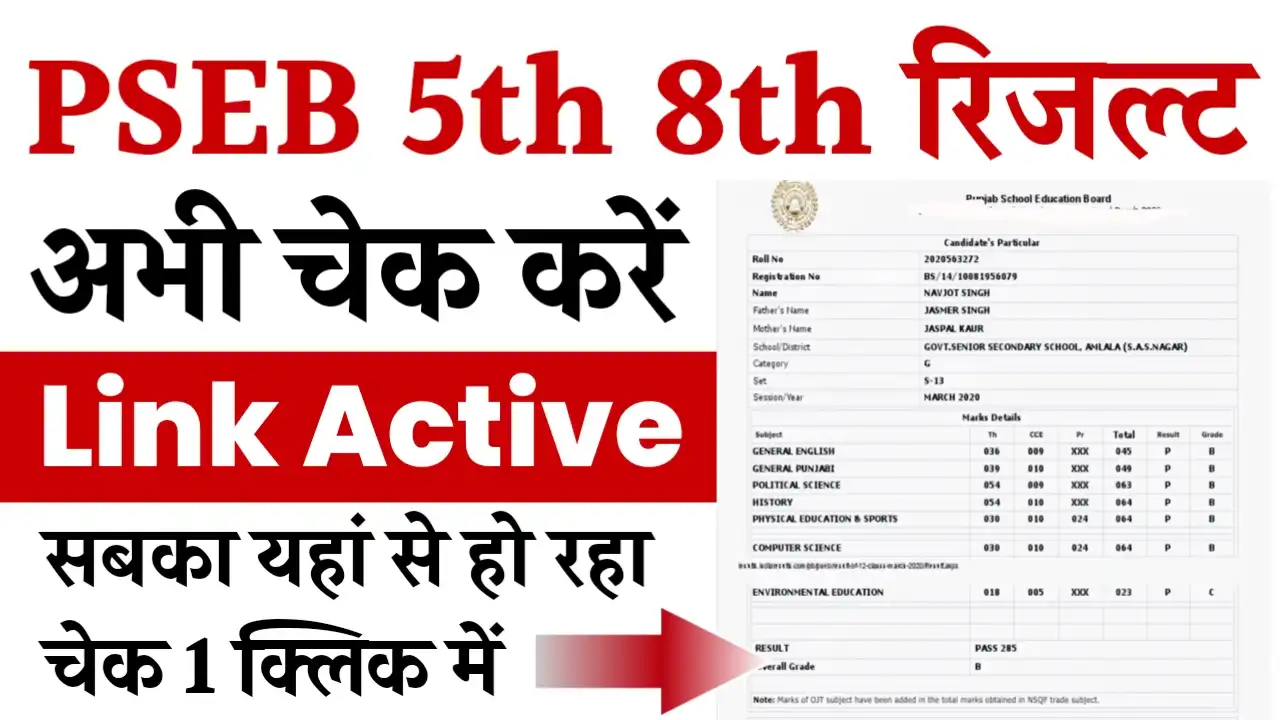 Punjab Board 5th 8th Result 2026